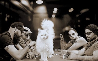 Fotografie opleiding volgen met je opleidingsbudget